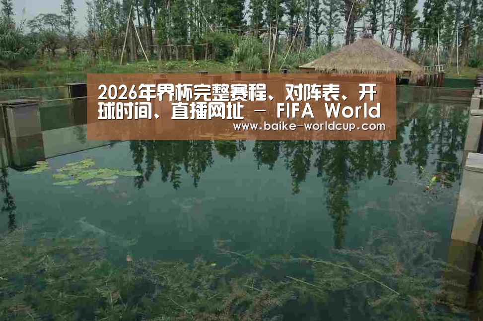 案例展示二