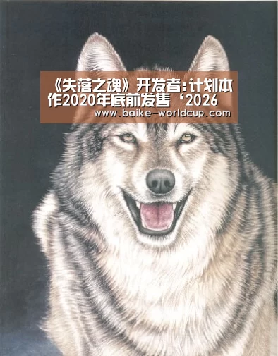 2026国际足联世界杯