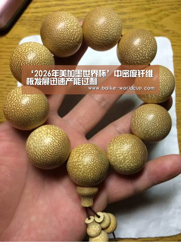 2026世界杯