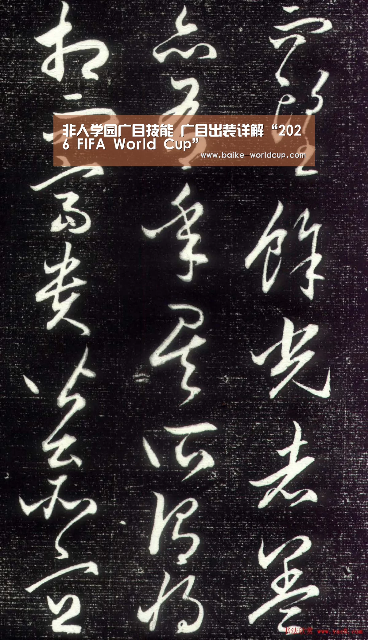 2026世界杯
