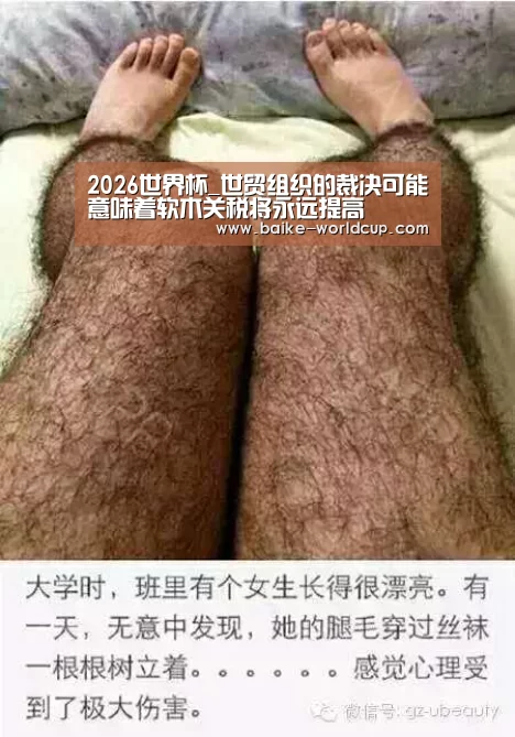 2026国际足联世界杯